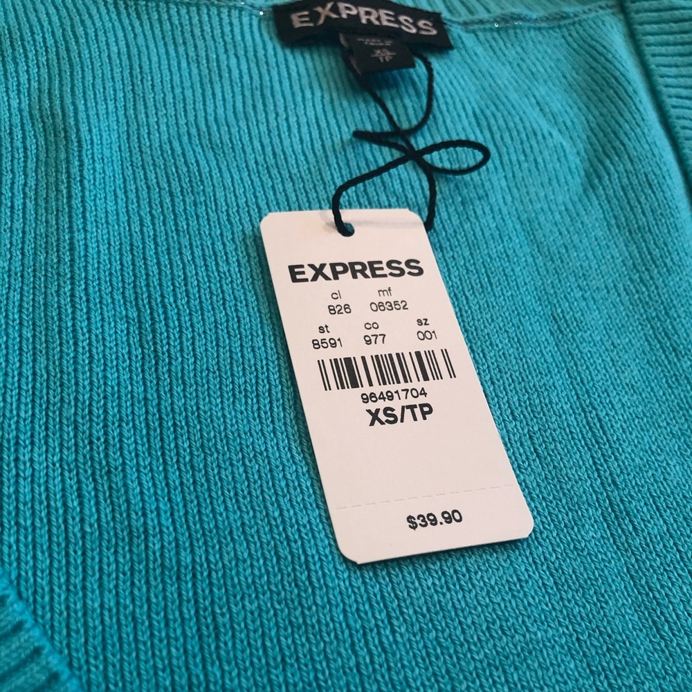 Light Blue Express Sweater